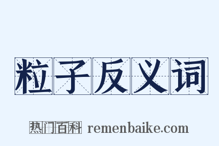 粒子反义词是什么意思的图片